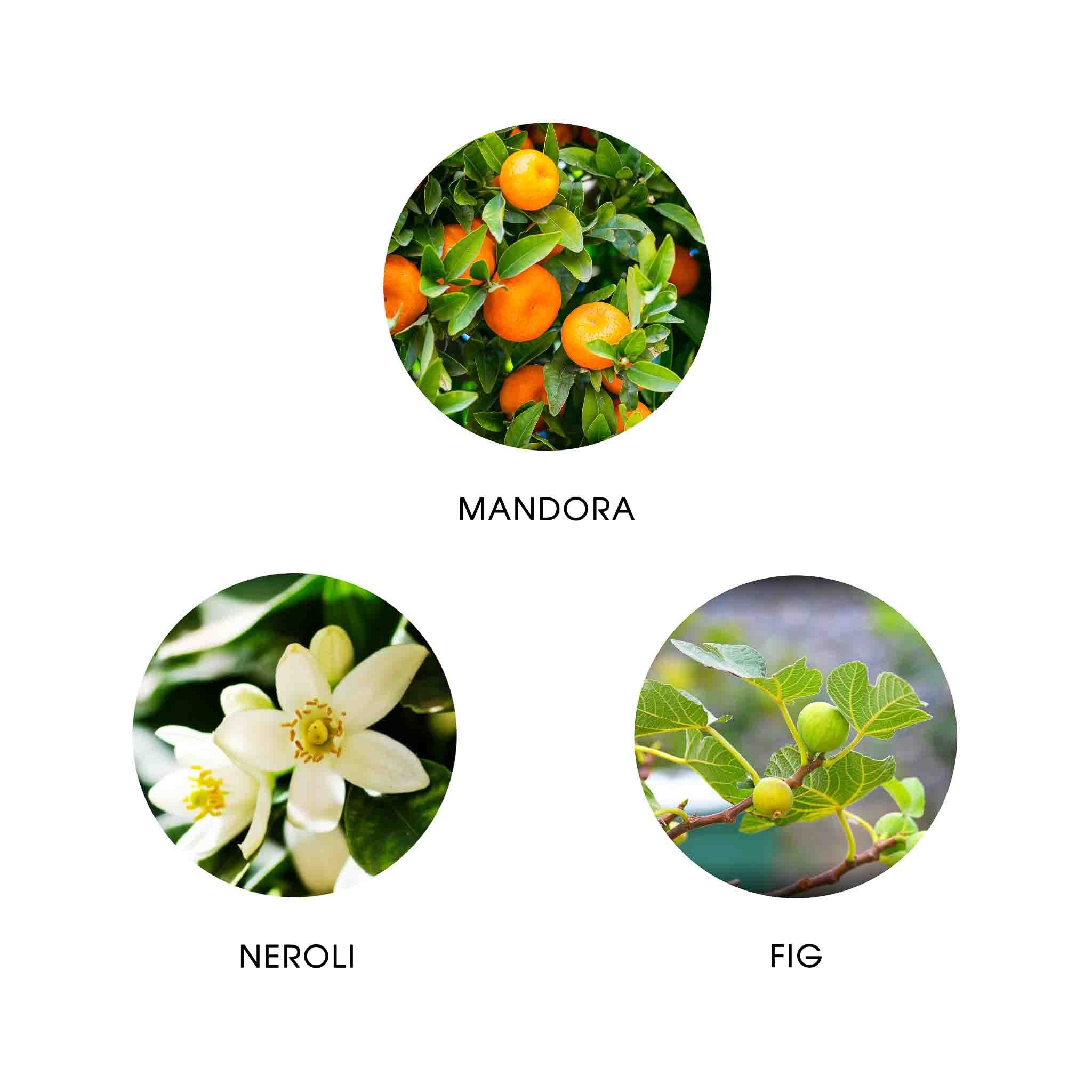 Amante - Eau de Parfum, FiiLiT Parfum du Voyage